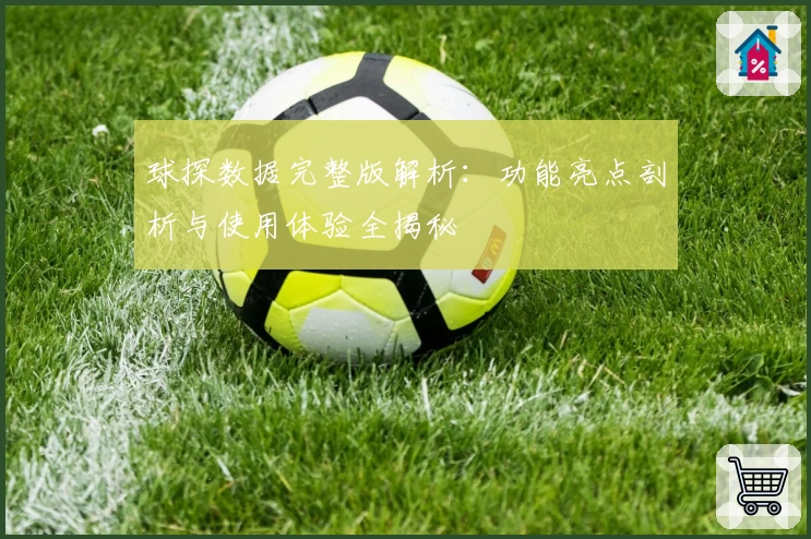 球探数据完整版解析：功能亮点剖析与使用体验全揭秘