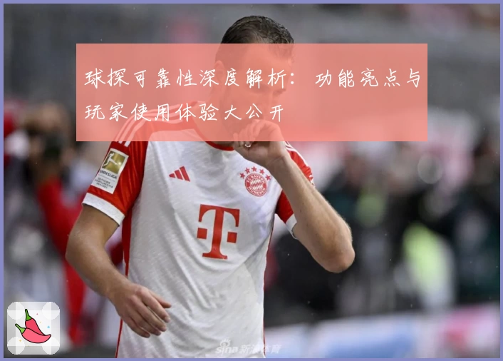 球探可靠性深度解析：功能亮点与玩家使用体验大公开