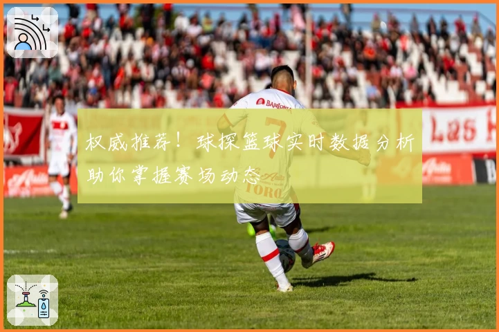 权威推荐！球探篮球实时数据分析助你掌握赛场动态