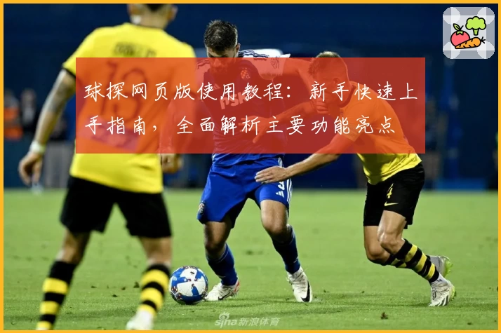 球探网页版使用教程：新手快速上手指南，全面解析主要功能亮点