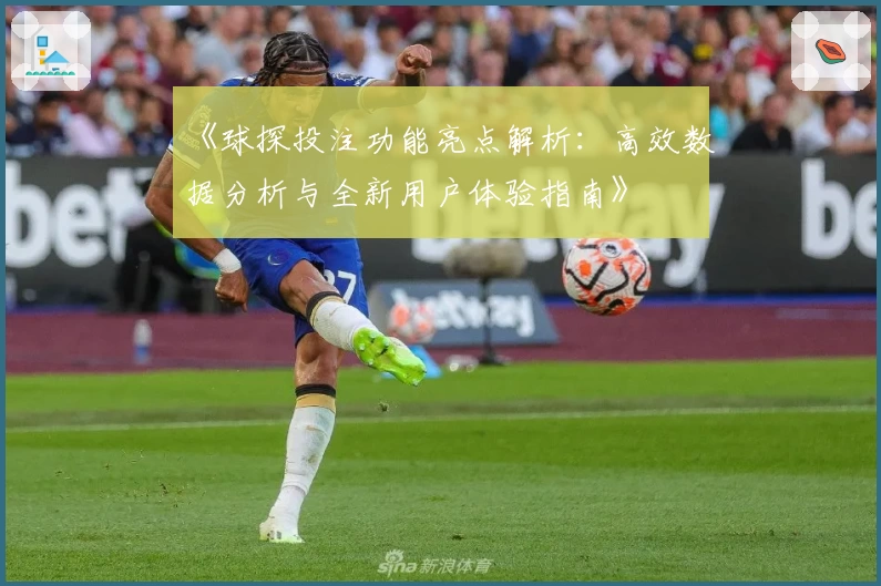 《球探投注功能亮点解析：高效数据分析与全新用户体验指南》