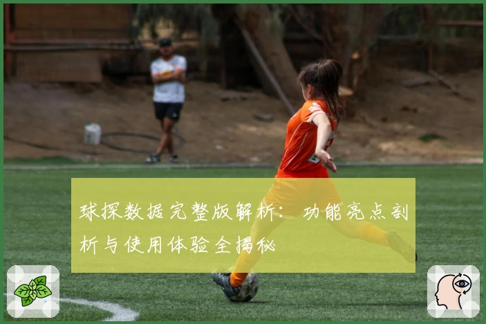 球探数据完整版解析：功能亮点剖析与使用体验全揭秘