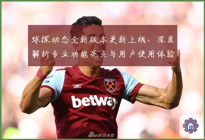 球探动态全新版本更新上线，深度解析专业功能亮点与用户使用体验