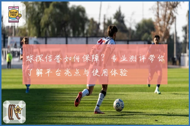 球探信誉如何保障？专业测评带你了解平台亮点与使用体验