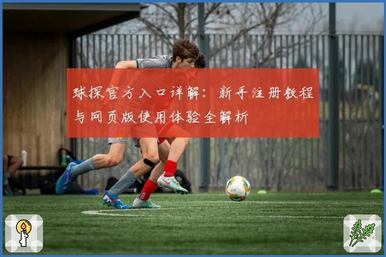 球探官方入口详解：新手注册教程与网页版使用体验全解析