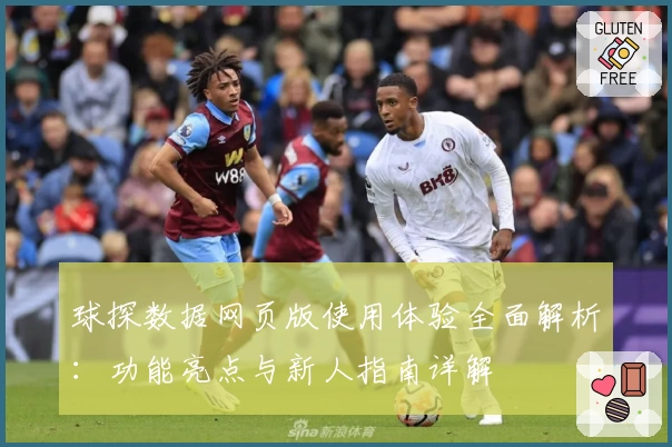 球探数据网页版使用体验全面解析：功能亮点与新人指南详解