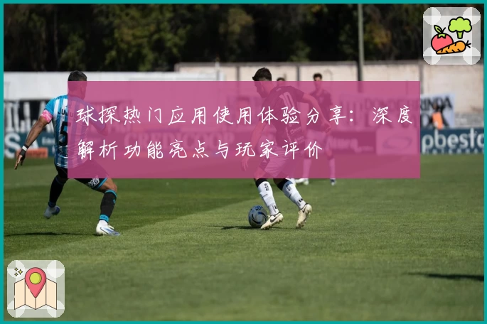球探热门应用使用体验分享：深度解析功能亮点与玩家评价
